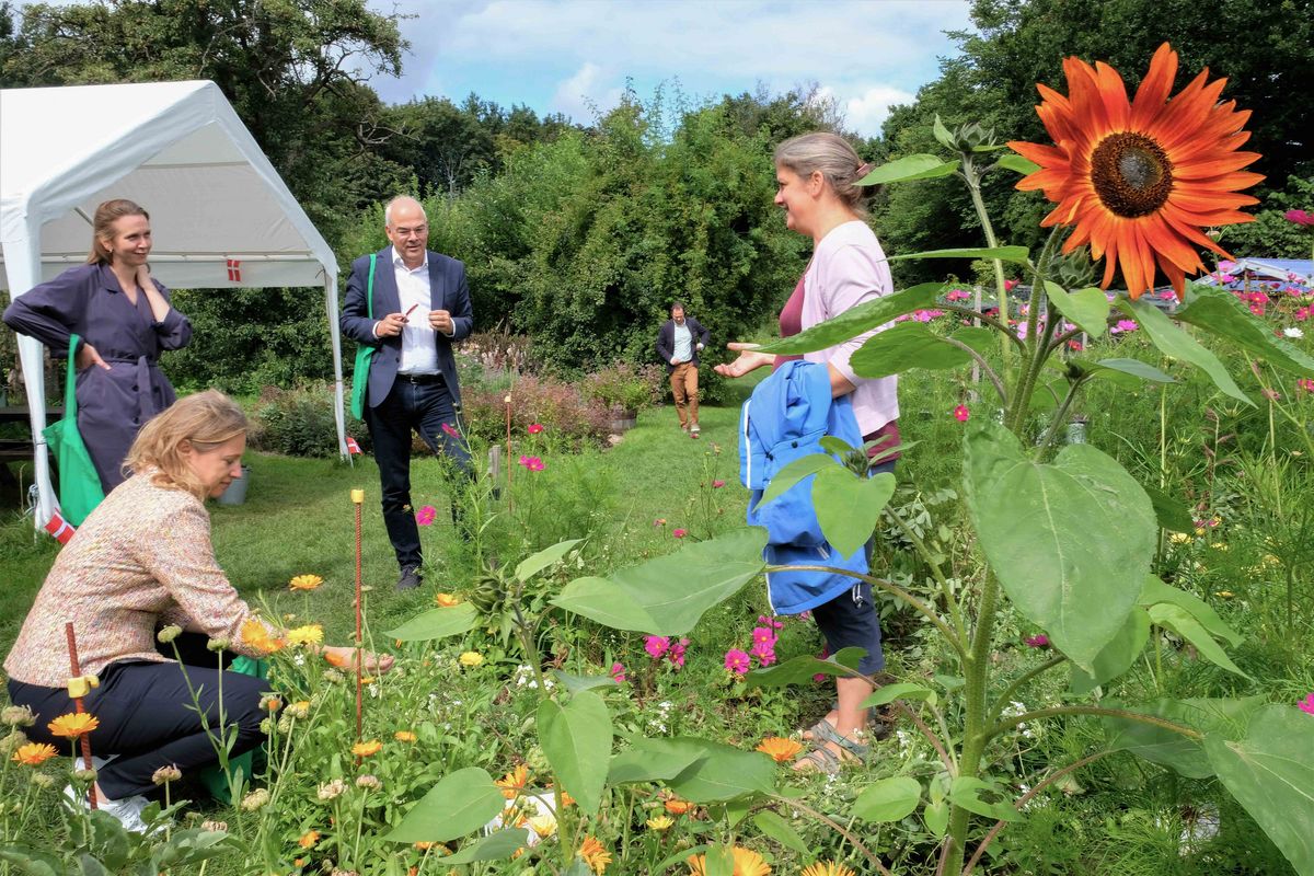 Sophie Hæstorp Andersen (forrest), Sofie Seidenfaden (tv.), Jesper Christensen (mf.) og formanden for skolehaverne i København, Camilla Friedrichsen (th). i samtale i den frodige skolehave. Foto: Karna Bunk-Jensen. Sophie Hæstorp Andersen (forrest), Sofie Seidenfaden (tv.), Jesper Christensen (mf.) og formanden for skolehaverne i København, Camilla Friedrichsen (th). i samtale i den frodige skolehave. Foto: Karna Bunk-Jensen.